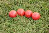 Triumph 100mm Composite Molded Bocce Set_8